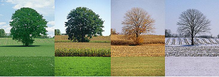 《灵活脑学校 一起伸展大脑》发布中文CM 游戏12月3日发售